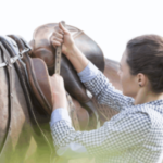 10 ошибок, которые вы можете совершить на первой конной прогулке